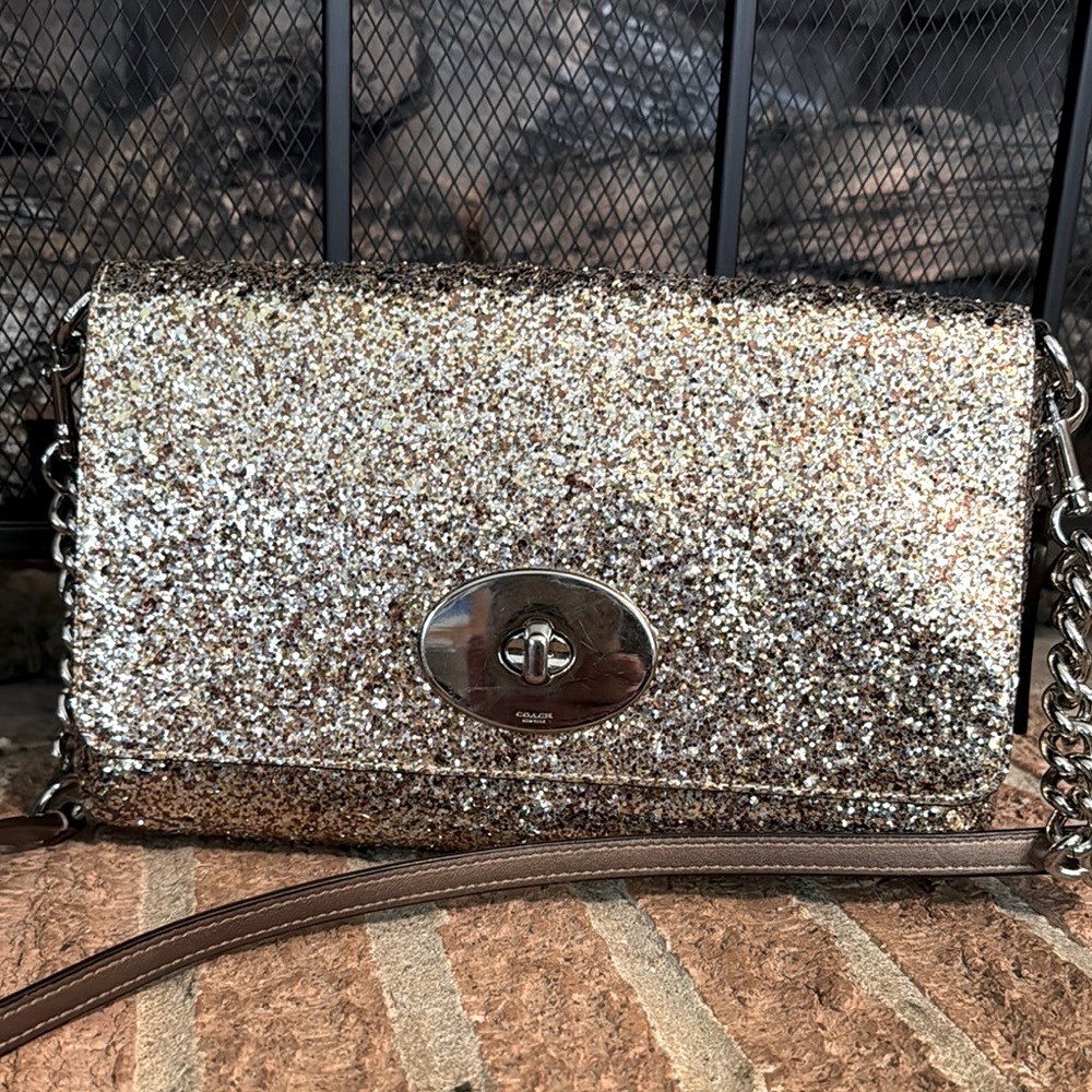 Coach Glittery Gold Bag Set